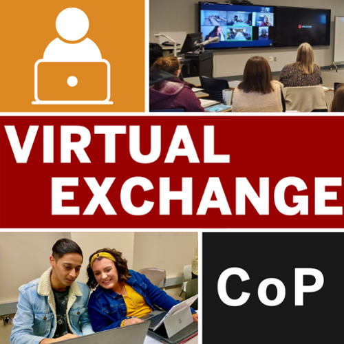 Virtual Exchange Community of Practice